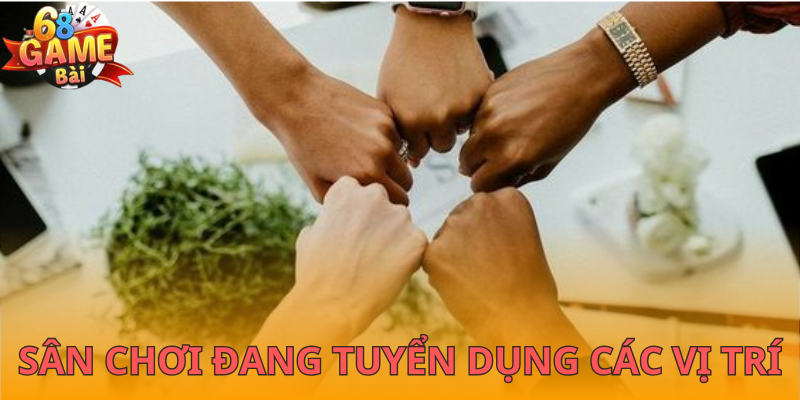 Những vị trí sân chơi đang tuyển dụng