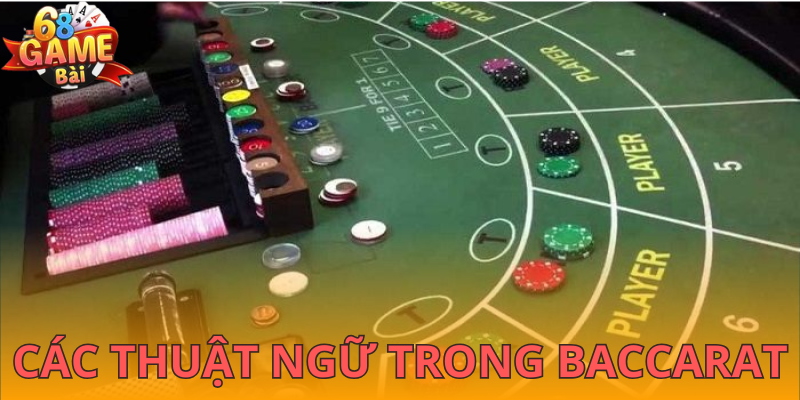 Các thuật ngữ quan trọng cần nắm vững